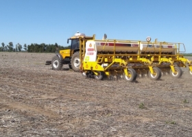 Un 38% de la superficie argentina de soja está en malas condiciones y sigue muy retrasada la siembra por falta de humedad