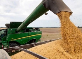 Las exportaciones de los complejos agrarios podrían caer entre un 21% y 33% por la sequía