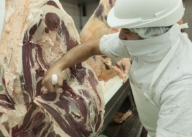 Por qué la sequía hace derrumbar el precio de la carne y qué efecto va a tener en el mediano plazo