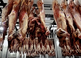 Las exportaciones de carne en 2022 fueron récord, pero hay un dato que enciende una alarma