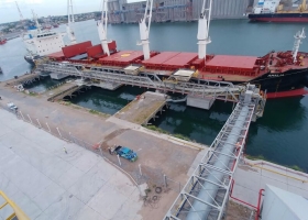 Trigo las exportaciones comenzaron con el peor registro desde 2015