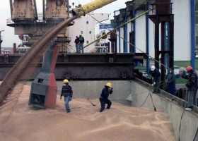 Por caída de cosecha y menor importación desde Paraguay, la molienda de soja cayó un 10%