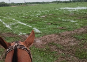 Renace la esperanza después de las lluvias en la zona más castigada del país por la sequía
