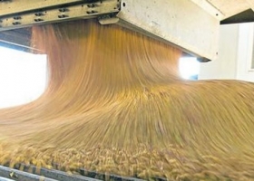 La molienda de soja cayó casi 10% en 2022