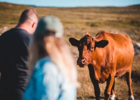 Números en rojo para la Rural hubo una adecuación de los precios de la hacienda y pidió la baja de las retenciones