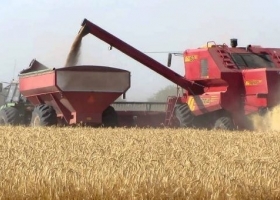  Se retrae la comercialización de trigo 2022/23