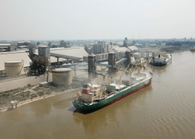 En enero las exportaciones de harina de soja en los niveles más bajos