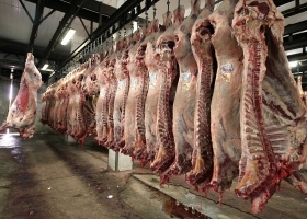 Las medidas por la carne vacuna generaron mayoría de críticas: Ya se probaron y fracasaron