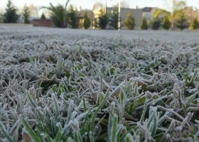 Increíble pero real: Se viene un helada en pleno mes de febrero con el ingreso de una ola polar