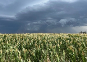  Se retira La Niña y prevén una lenta normalización de las lluvias