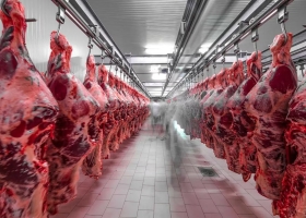 Vaca loca el caso en Brasil abre una oportunidad para las exportaciones argentinas de carne vacuna