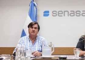 Gripe aviar en el Senasa hablan de una falla de bioseguridad por el caso en una granja y explican cómo eliminarán pollos