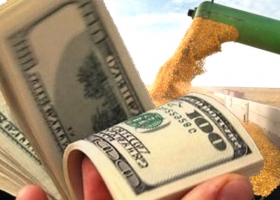 Fuerte impacto las liquidaciones de divisas del agro cayeron un 74% en febrero