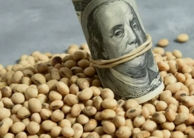 Un 63% de la soja vendida el último mes se hizo con precio a fijar a la espera de un nuevo dólar soja