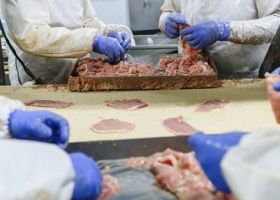 La faena y la producción de carne porcina fueron récord en 2022