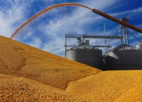 El Gobierno intervino en el mercado de maíz con una prórroga de las exportaciones y recibió duras críticas