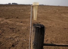 El año en que el campo no podrá ayudar a salir de la crisis y el factor que abre una esperanza.