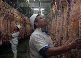 Por la sequía, llueve la hacienda a los frigoríficos: la faena creció 9,7% en el primer bimestre