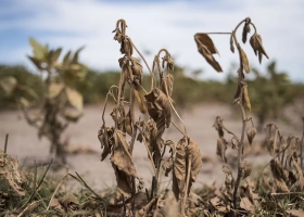 Dan por finalizada La Niña luego de una superficie récord con sequía: 173,6 millones de hectáreas