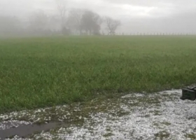 Alerta amarilla por tormentas en la región centro: dónde podría llover
