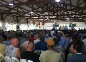 Productores de Buenos Aires y La Pampa analizan acciones gremiales por la prórroga de las DJVE y la medida del Banco Central