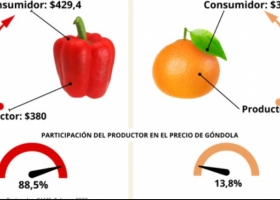 En febrero el consumidor pagó 3,1 veces más de lo que cobró el productor por los agroalimentos