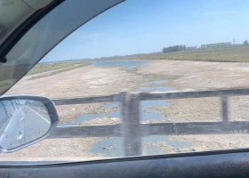 La imagen estremecedora en un histórico río de Buenos Aires