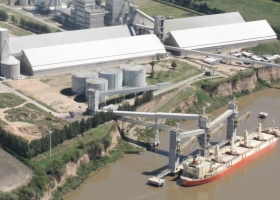 La industria de la soja anticipa una “parálisis” por la sequía: cómo harán para enfrentarla