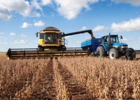 Las primeras cosechas de soja en Santa Fe promedian los 500 kilos/ha