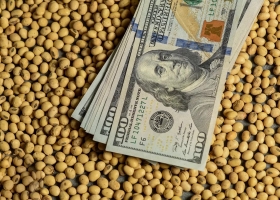 El Gobierno propuso un tipo de cambio a $300 para la soja del dólar agro
