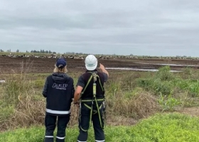 Ni los tambos se salvan: AFIP presiona al campo y recorre establecimientos y rutas para sumar recaudación