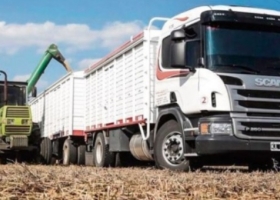 Los transportistas advierten que están sufriendo costos ‘record’