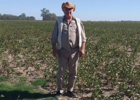“Es una catástrofe”. Empezaron a cosechar y se encontraron con algo peor a lo esperado