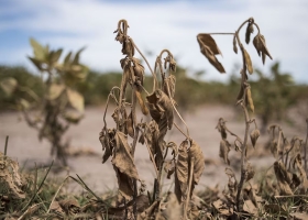 Derrumbe: calculan que en los pueblos chicos dejarán de entrar más de US$20 millones