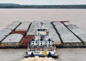 Argentina triplicó la importación de soja, pero la industria todavía tiene un 70 % de capacidad ociosa