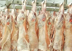 Dólar agro: incluyen a las frutas, las hortalizas y la carne ovina en el tipo de cambio diferencial