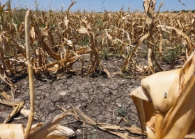 La provincia pierde u$s 5.100 millones por la sequía