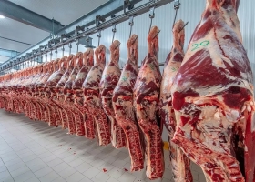 El Gobierno rechazó una propuesta para que lleguen US$1000 millones con la carne vacuna