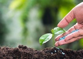 La incertidumbre cambiaria desató un fenómeno en la venta de un insumo del campo
