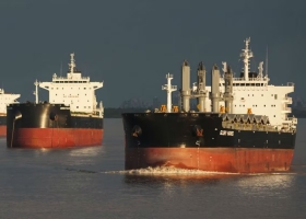 Los exportadores calcularon que no entrarán US$18.777 millones y prevén la menor molienda de soja en 18 años