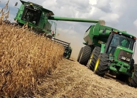 El campo sigue sin aportar buenas noticias: Otro ajuste a la cosecha de soja y está en riesgo la campaña de trigo