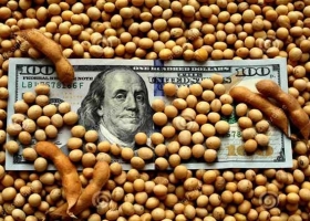 En la recta final, el dólar soja dejaría un 20% menos de lo esperado por el Gobierno