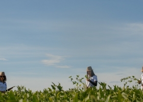 La corporación política argentina sigue subsidiando al agro brasileño a costa de un desastre social interno