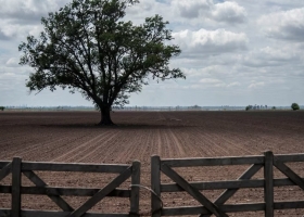 Activo, pero selectivo. La sorpresa que refleja el mercado de campos en pleno año electoral