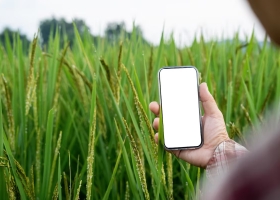 Internet: mejoró la conectividad en las zonas rurales, pero hay fuertes brechas con las ciudades