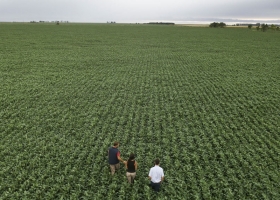  La agricultura de precisión, en el camino hacia cuadruplicarse en los próximos cinco años