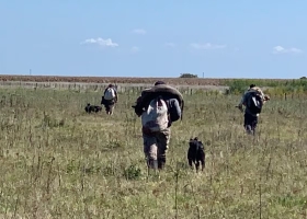 Denuncian una grave inseguridad en campos de un partido bonaerense