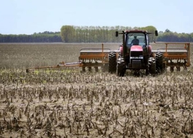 Tras la sequía: los alquileres agrícolas bajaron apenas medio quintal en Córdoba