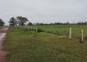 Impunidad total: denuncian que no cede la inseguridad en los campos de una provincia