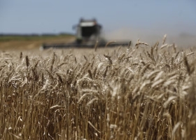 Una gran apuesta suben los precios para alquilar campos por las expectativas con un nuevo gobierno